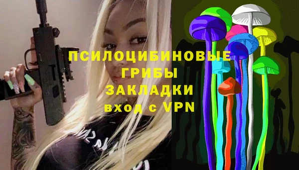 ешки Алексеевка