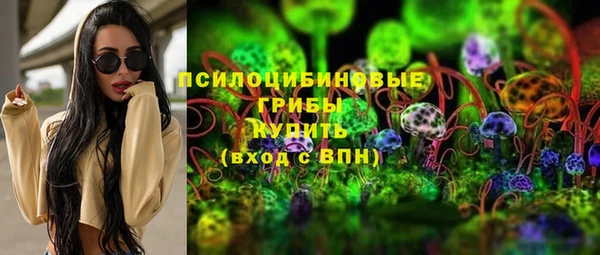 ешки Алексеевка