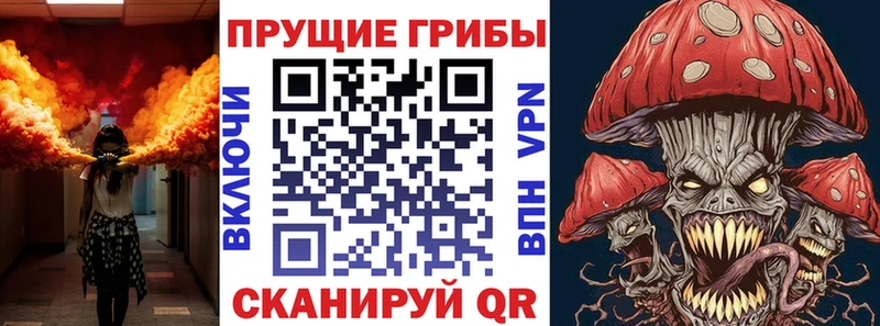 сайты даркнета как зайти  дарнет шоп  Елец  Псилоцибиновые грибы мухоморы 